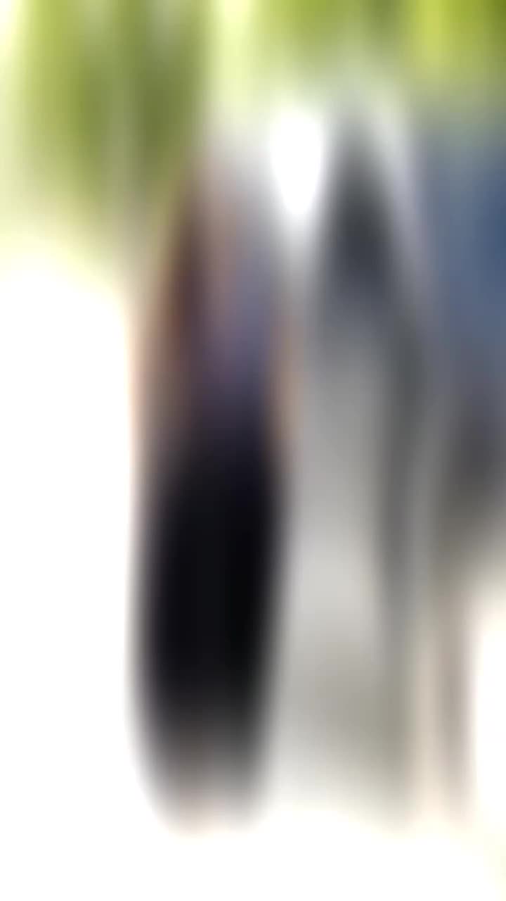 @༒𝑫𝒊𝒍𝒍𝒔𝒉𝒆𝒆𝒏༒