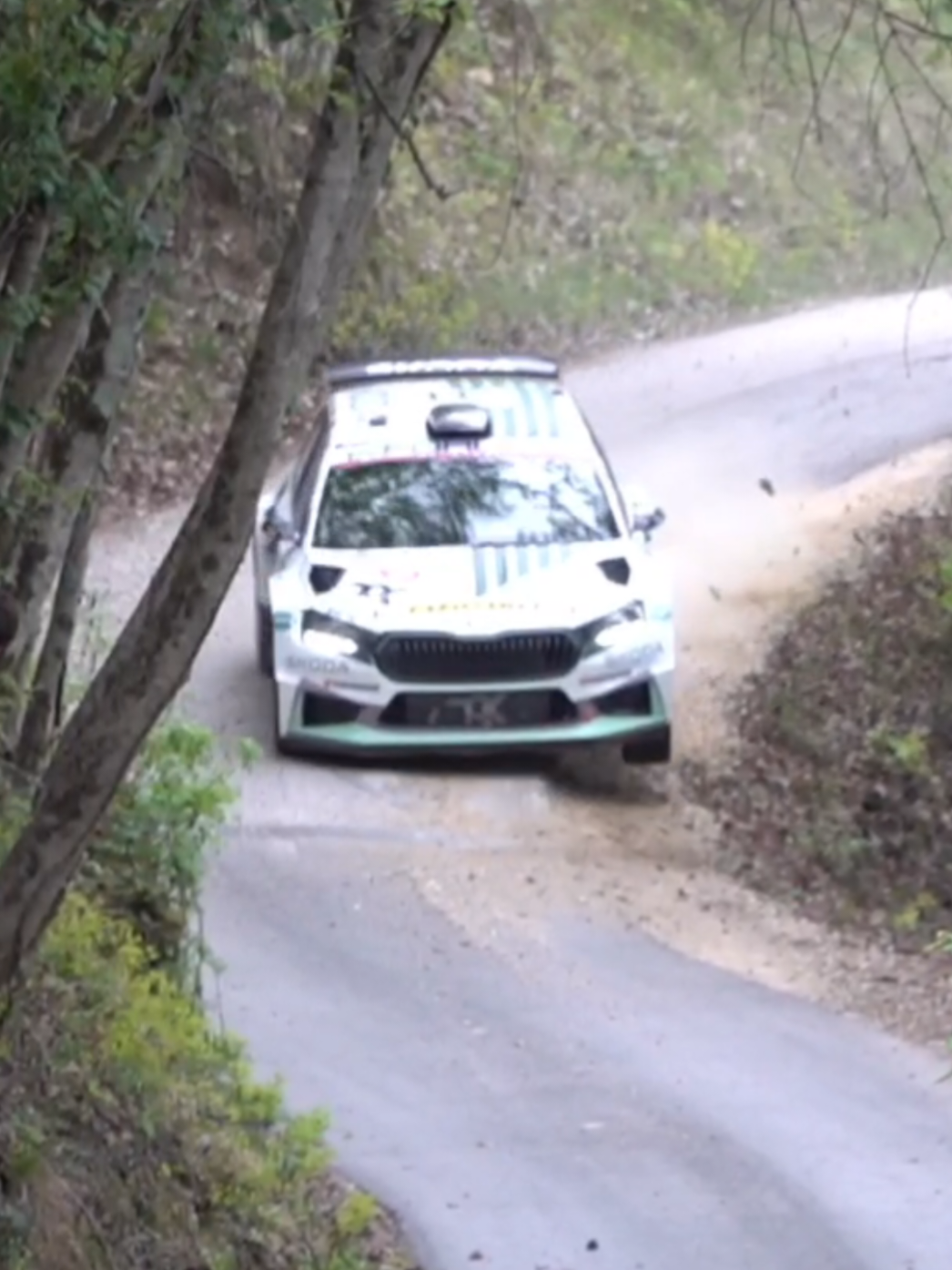 @LB77 Rally