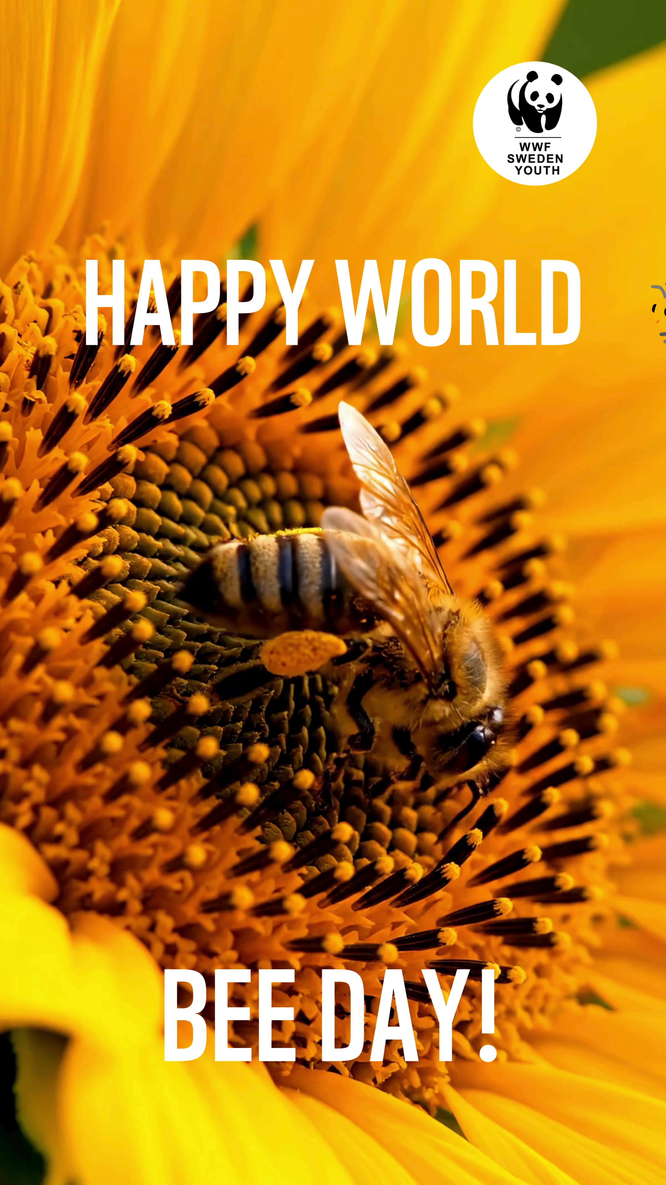 @WWF Sweden Youth