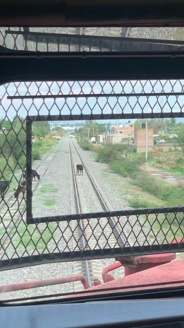 @elsr.deltren