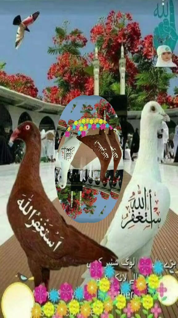 @unal ayhan