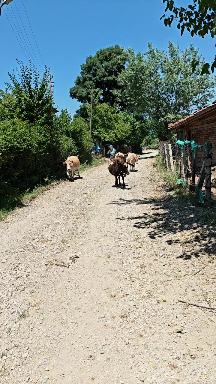 @Semra kurnaz55