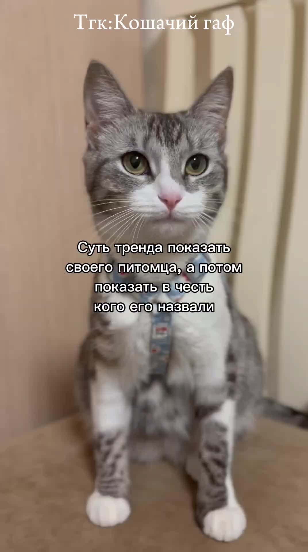 @🩸маньячка🩸
