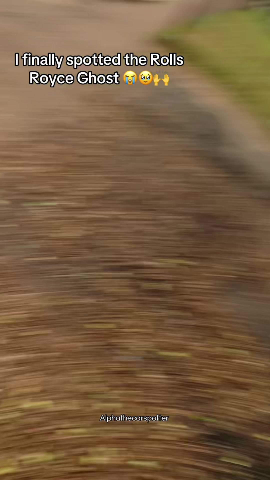 @ALPHA THE CAR SPOTTER ๐