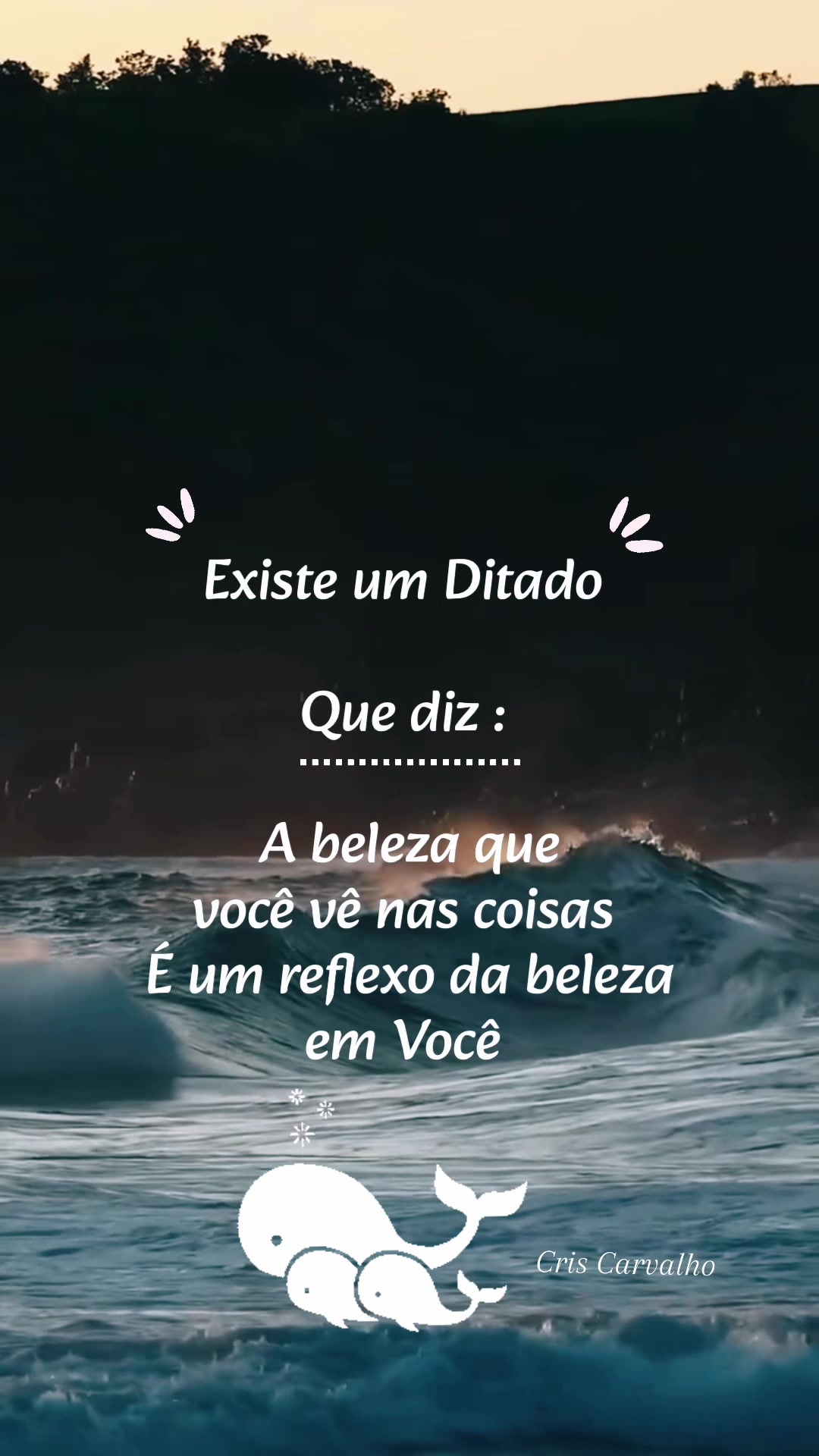 @Cris Carvalho