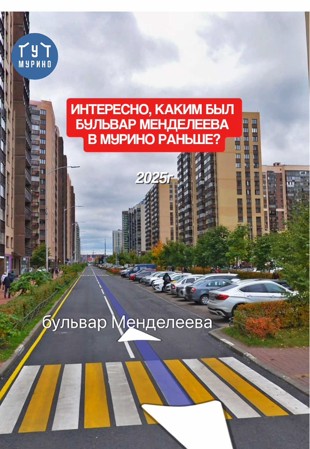@Tut Murino