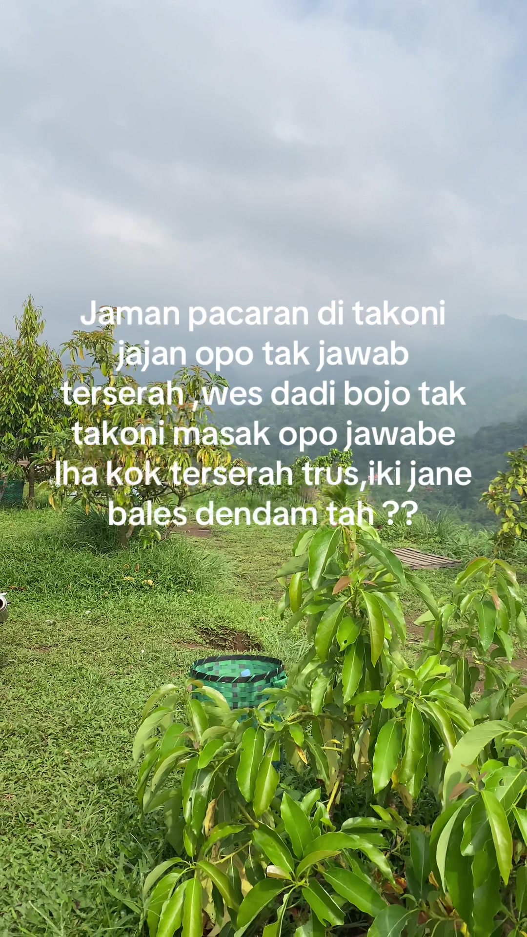 @Renydewi🐻