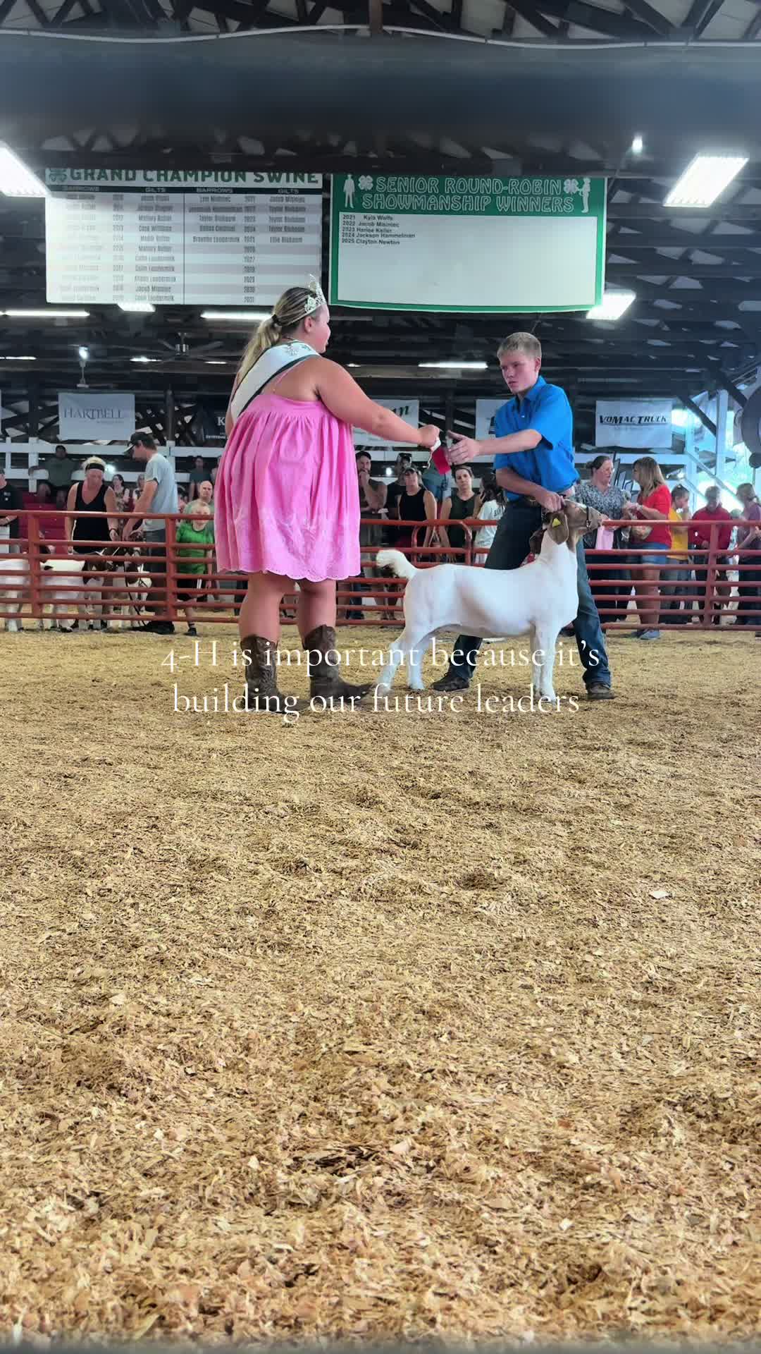 @Knox County Fair | Indiana