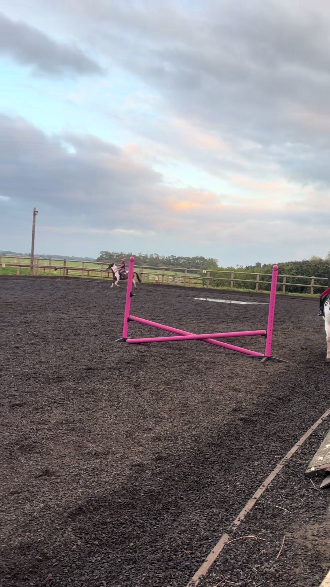 @Nina’s Pony Adventures ❤️
