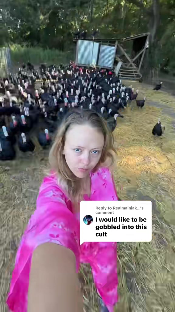 @farmerandtheharpiist