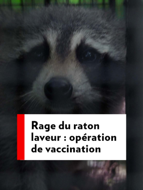 @La Presse