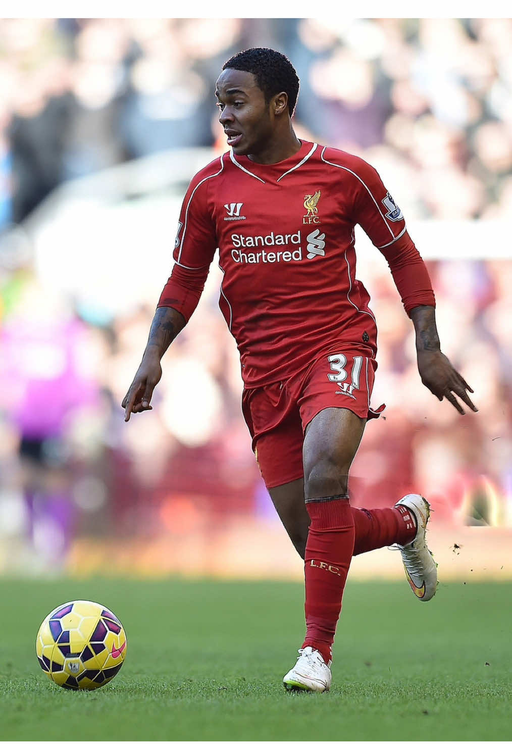 @lfc_comps