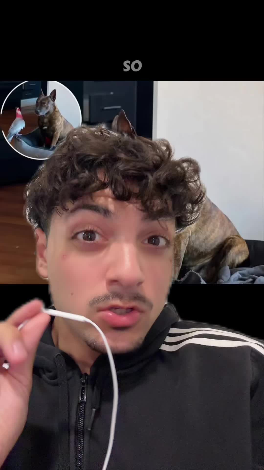 @Sbladn