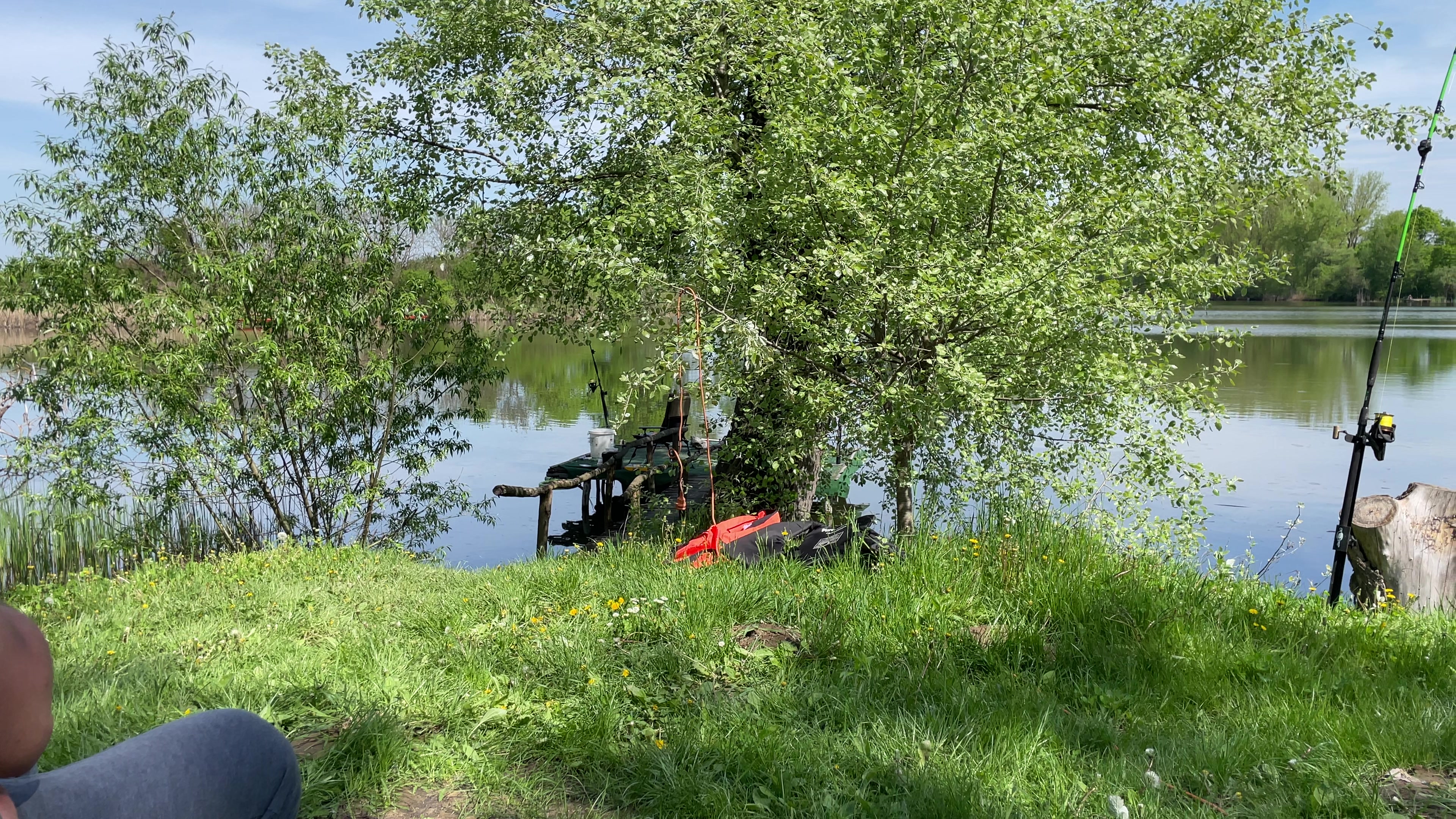 @Galifamili.carpteam