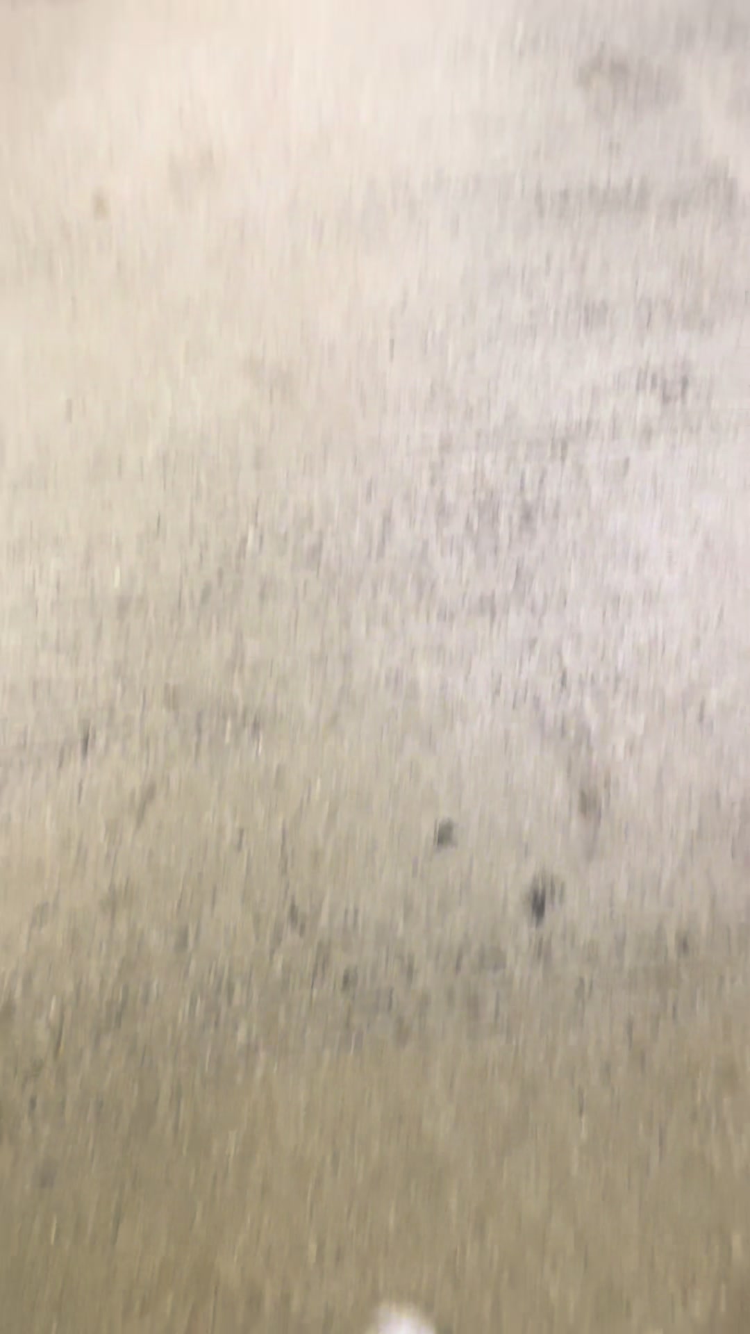 @๏ฟด