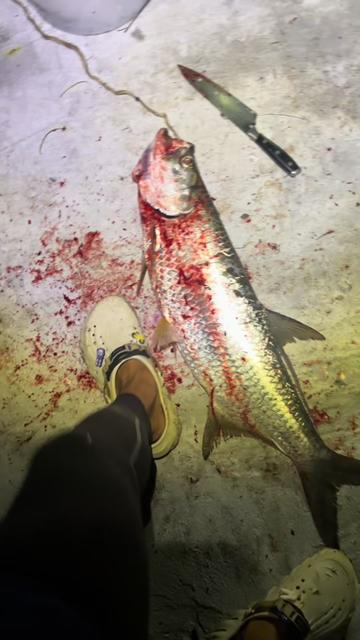 @fish_and.crabes