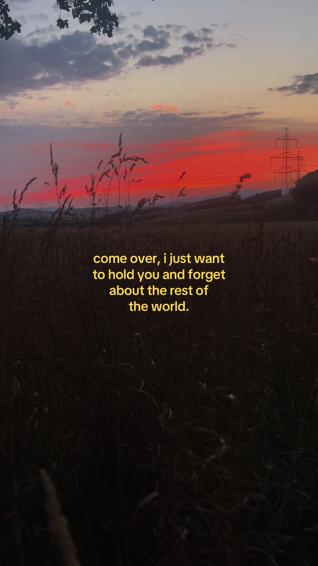 @✧