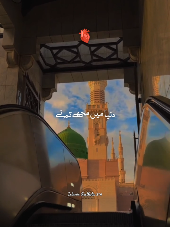 @راجه لقمان 🦅