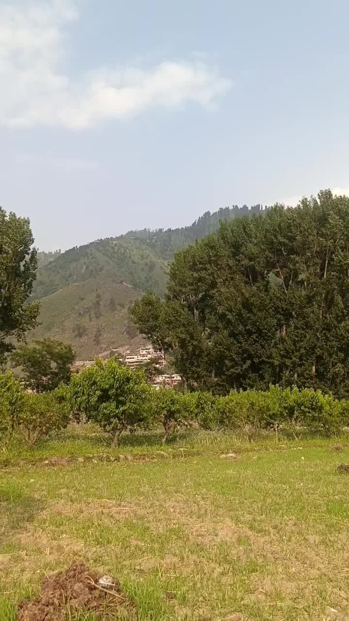 @AKhondi