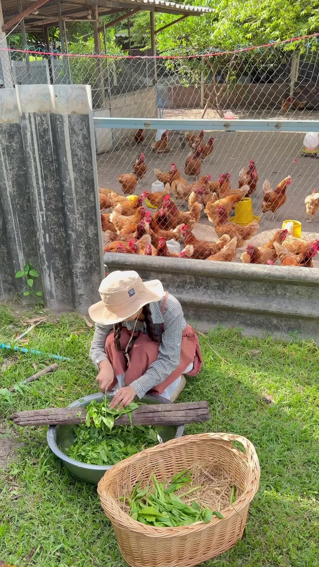 @น้องมดไก่ไข่อารมณ์ดี