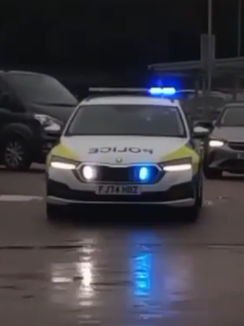 @blue light spotter02