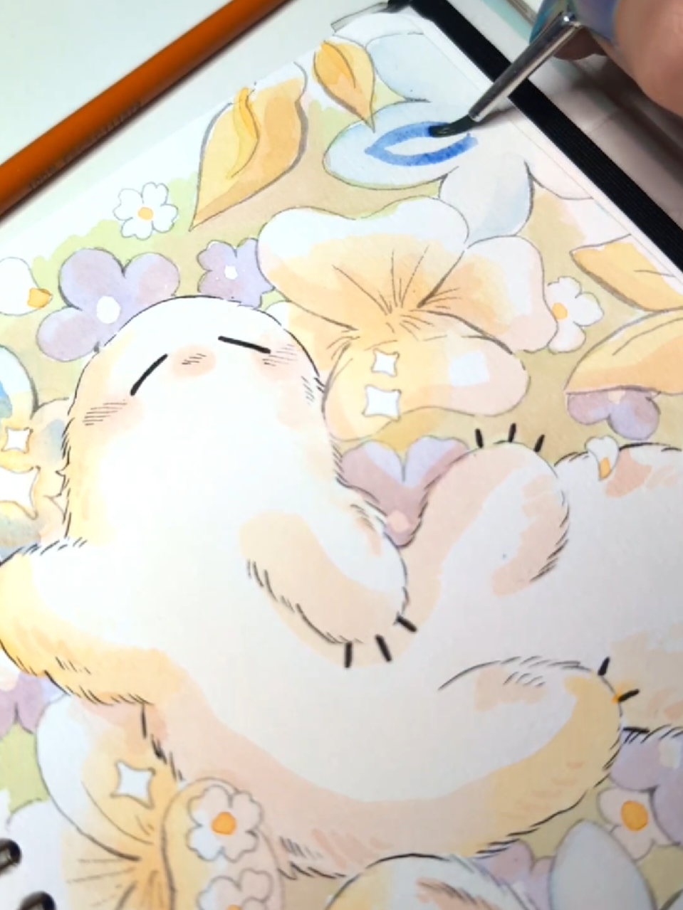 @ʕ &bull;ᴥ&bull;ʔゝ☆ Nat!