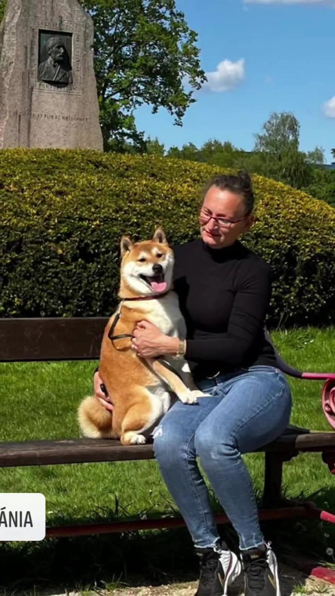 @Spirit of Asia Kennel