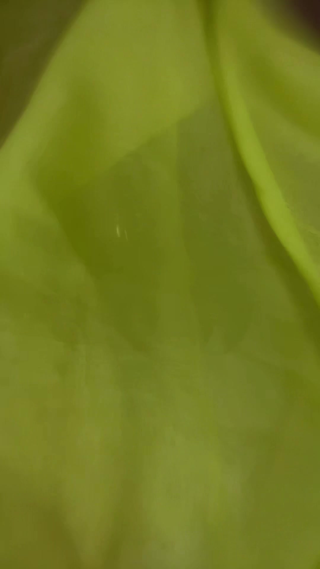 @𝔎𝔲𝔯𝔬