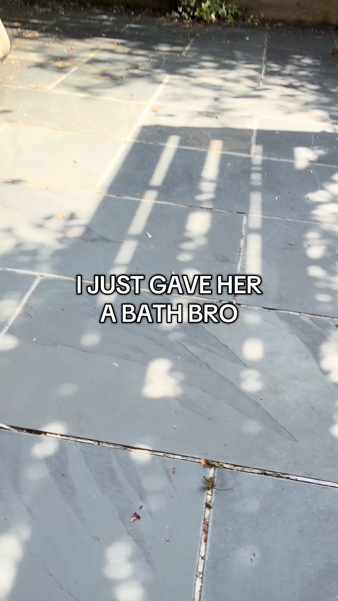 @Iris| #1 JUPITER FAN!!!!!