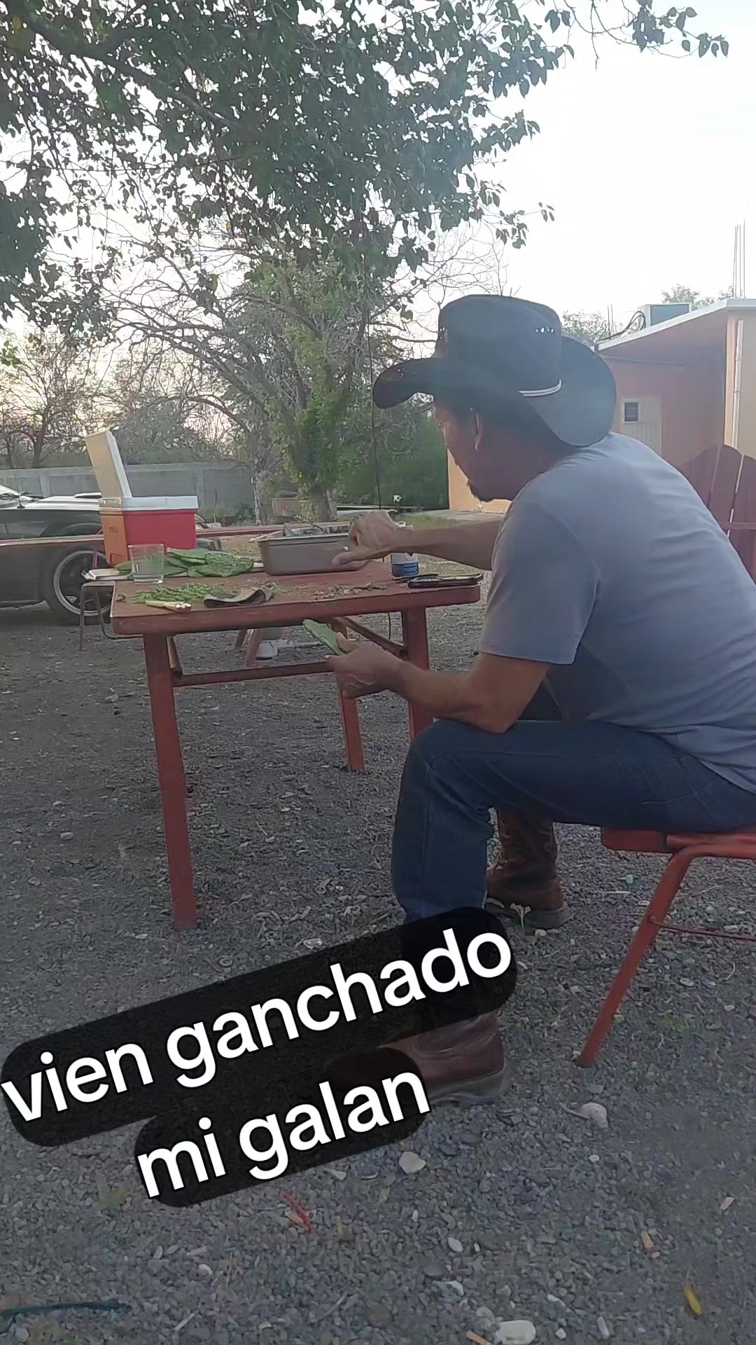 @Norma la Guera
