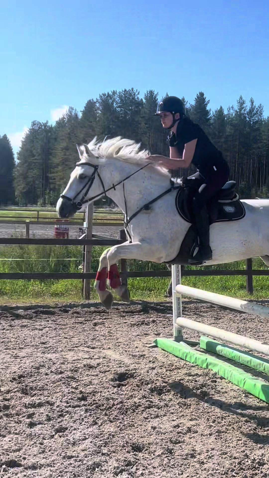 @♡Ronja♡