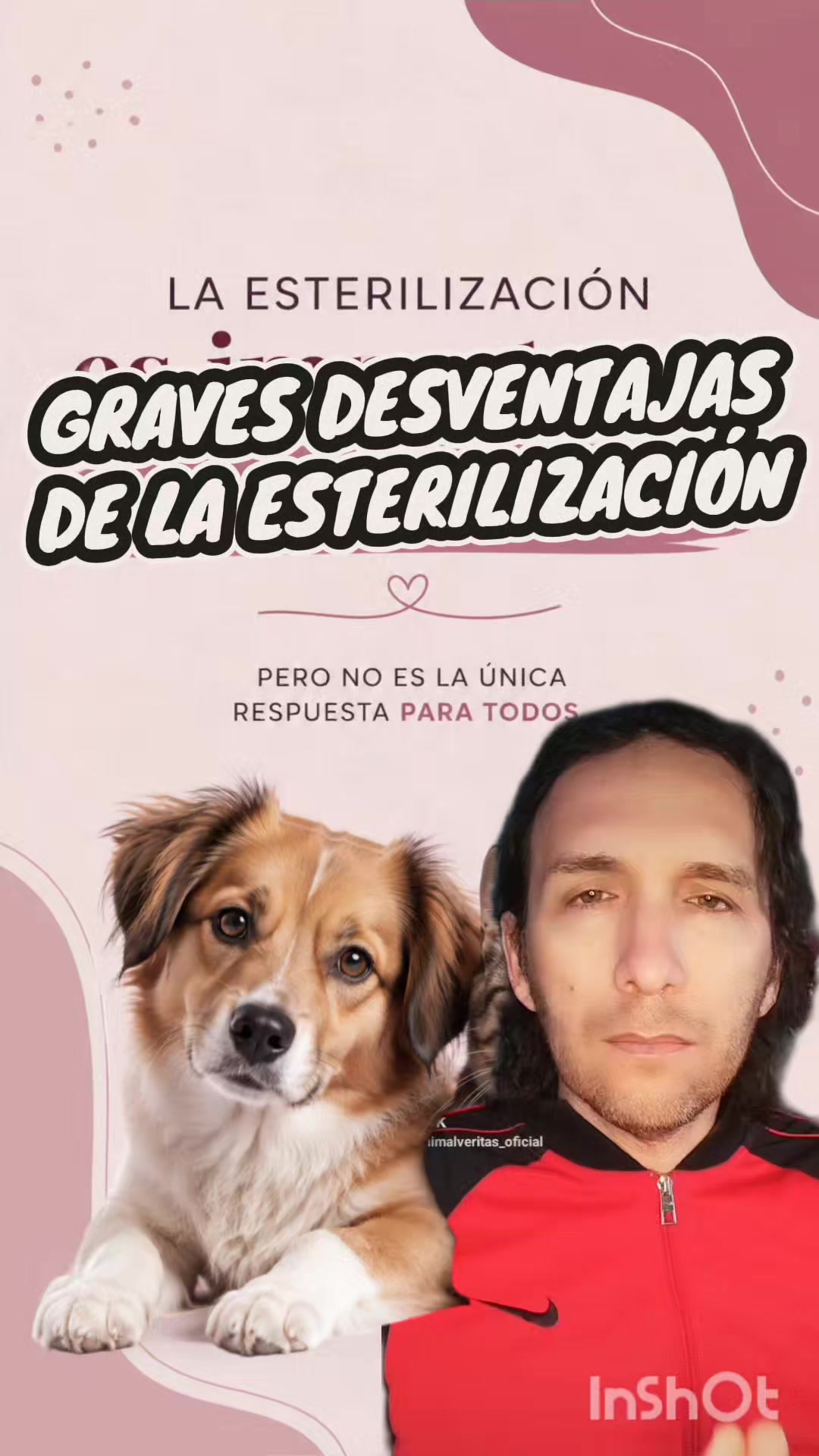 @Animal Veritas