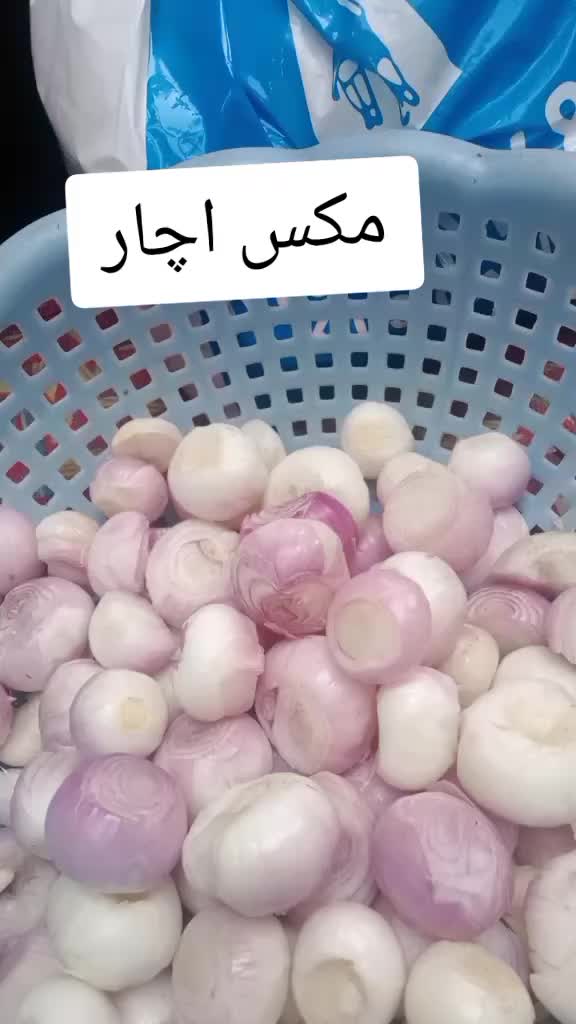 @Miss Shabana Malik