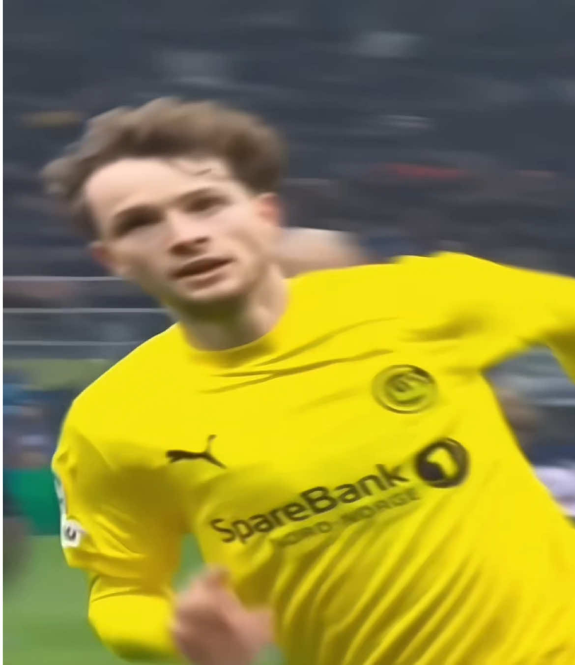 @🐍𝐖𝐙𝐋🪽