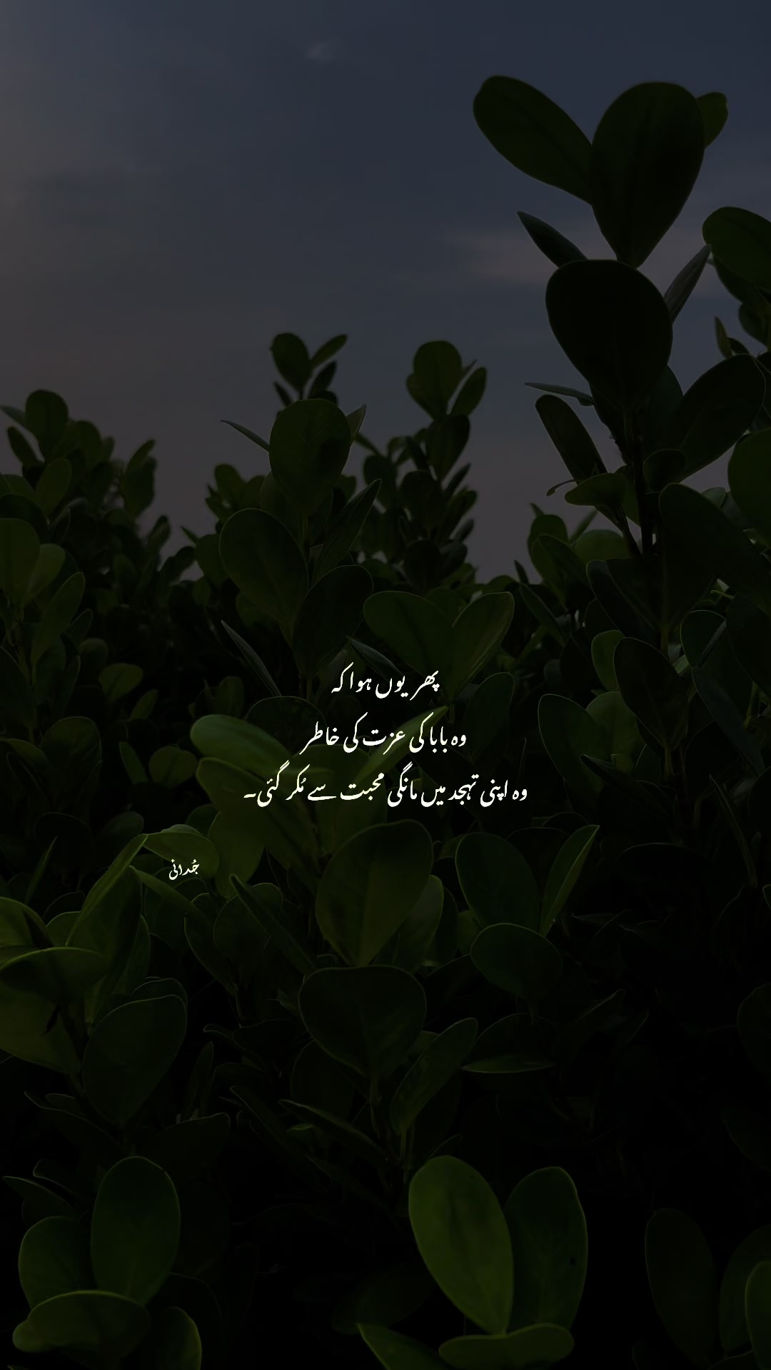 @𓆩 Aabi 𓆪
