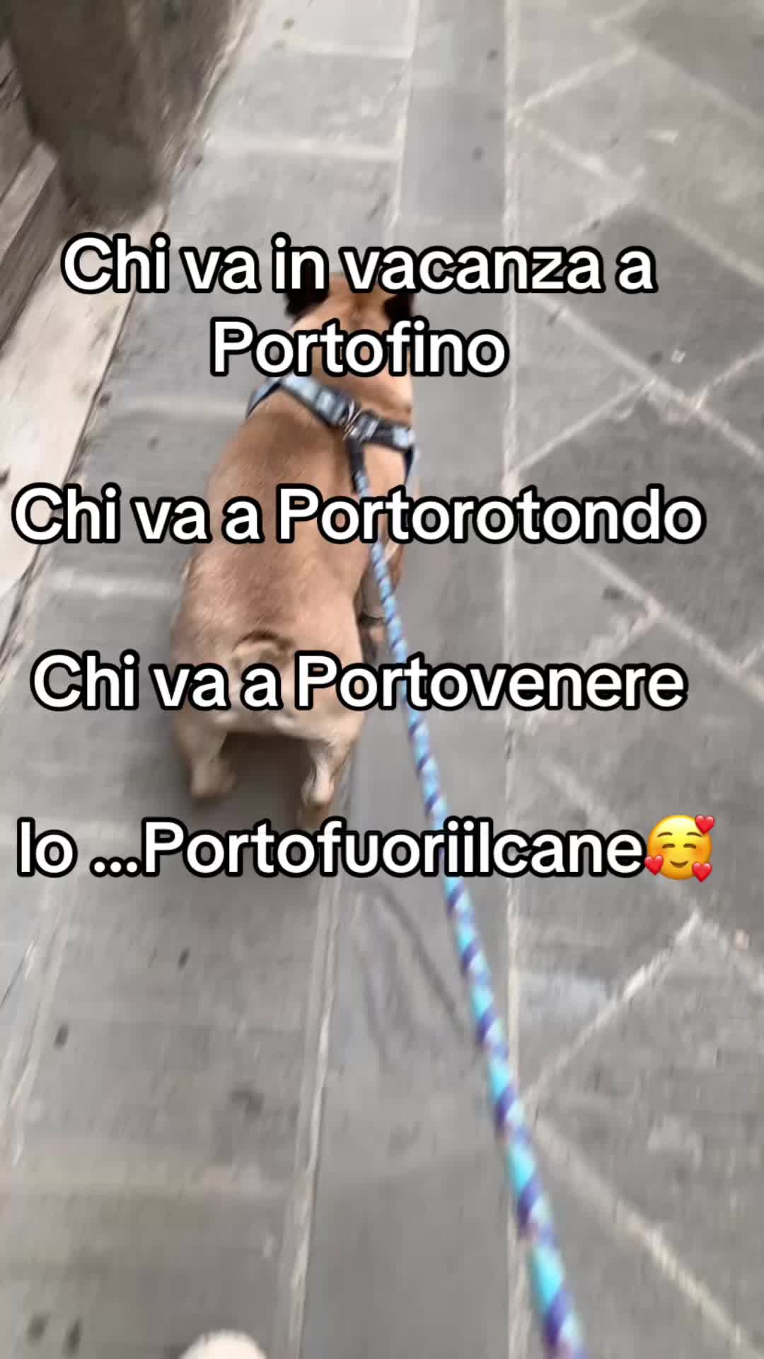@lauragranci71