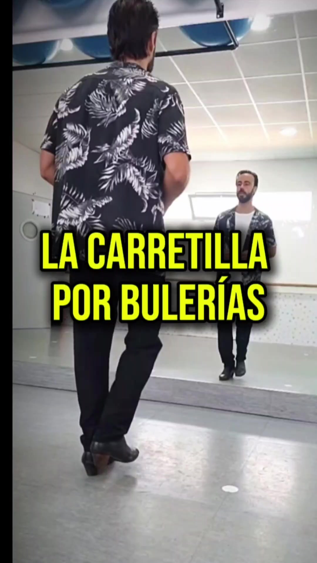 @Mario de los Santos Flamenco