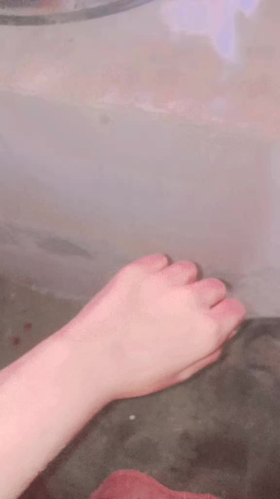 @🎀🦋꧁༒𝑢𝑟𝑤𝑎༒꧂🦋🎀