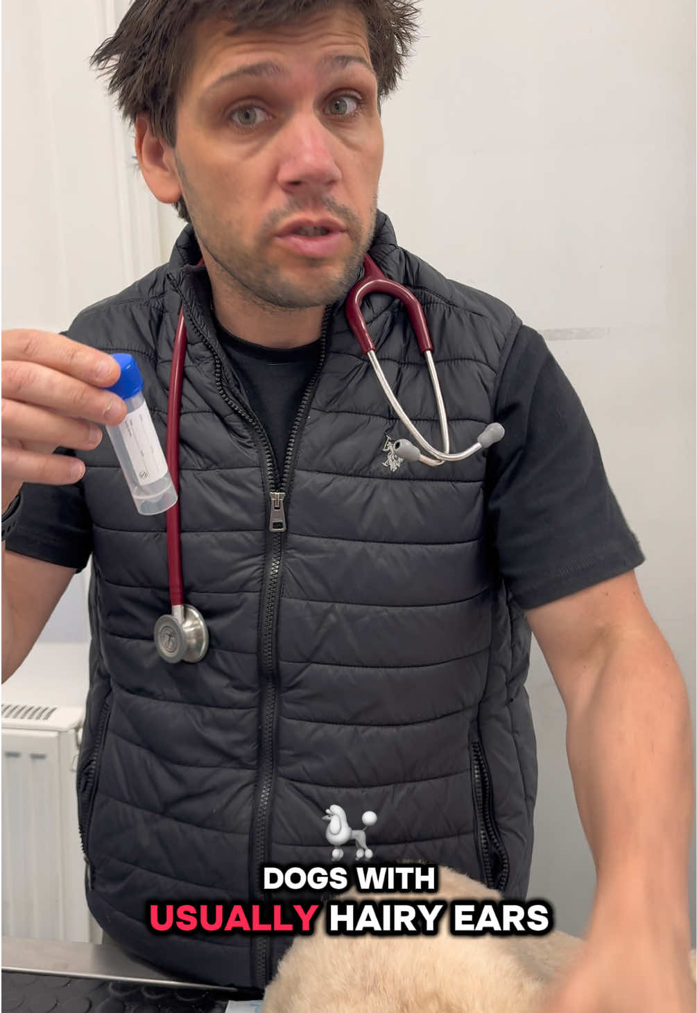 @Tomasthevet