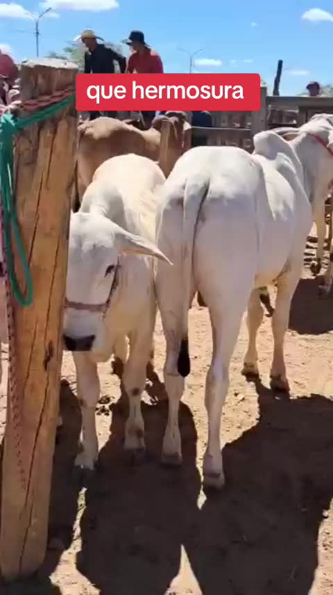 @NATURALEZARANCHO