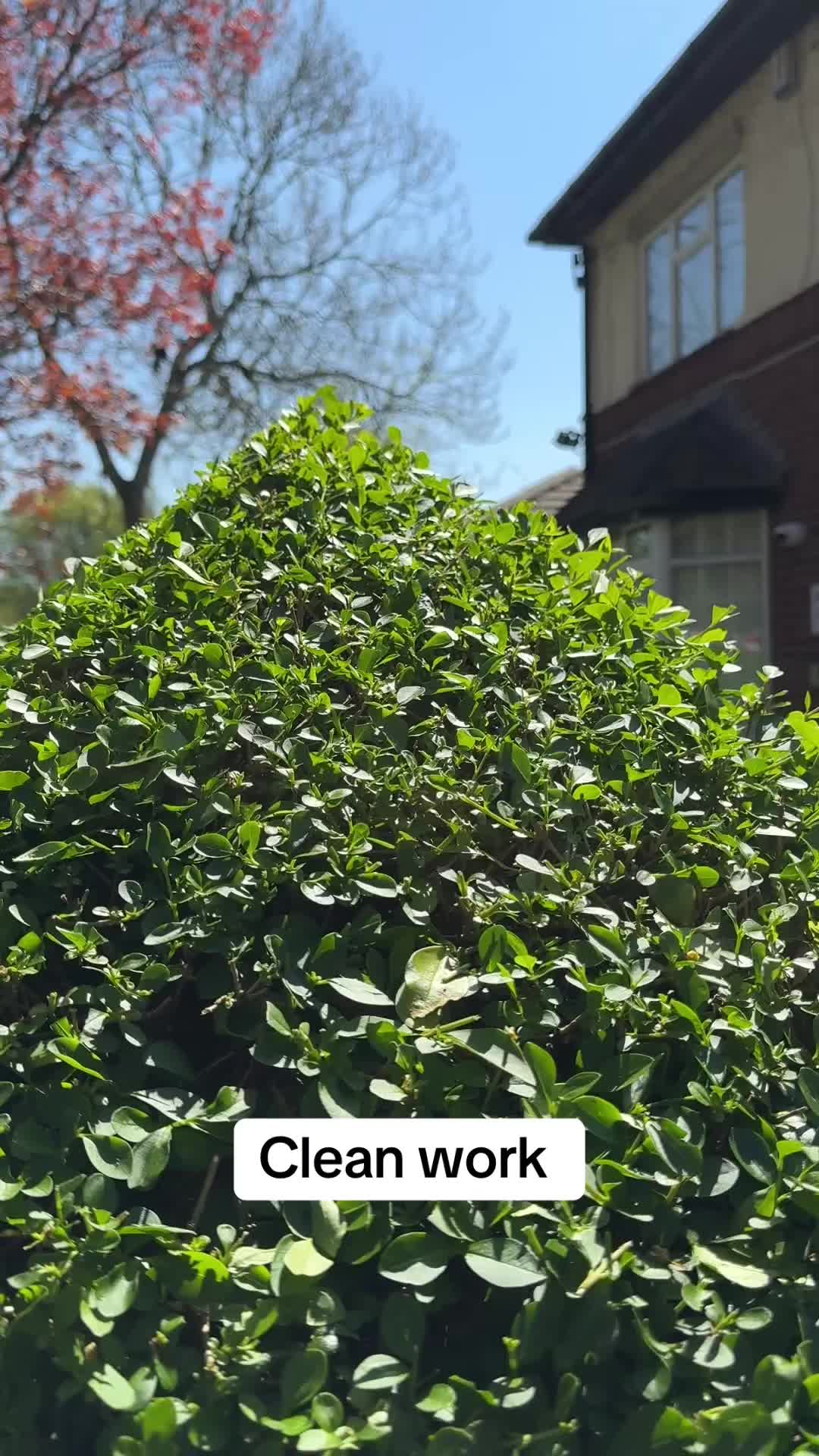 @GardenStyle