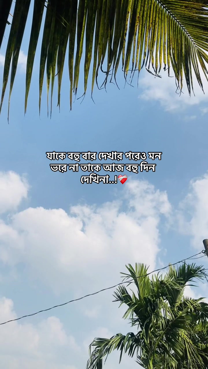 @-ᴅᴀɪꜱʏ-🌼