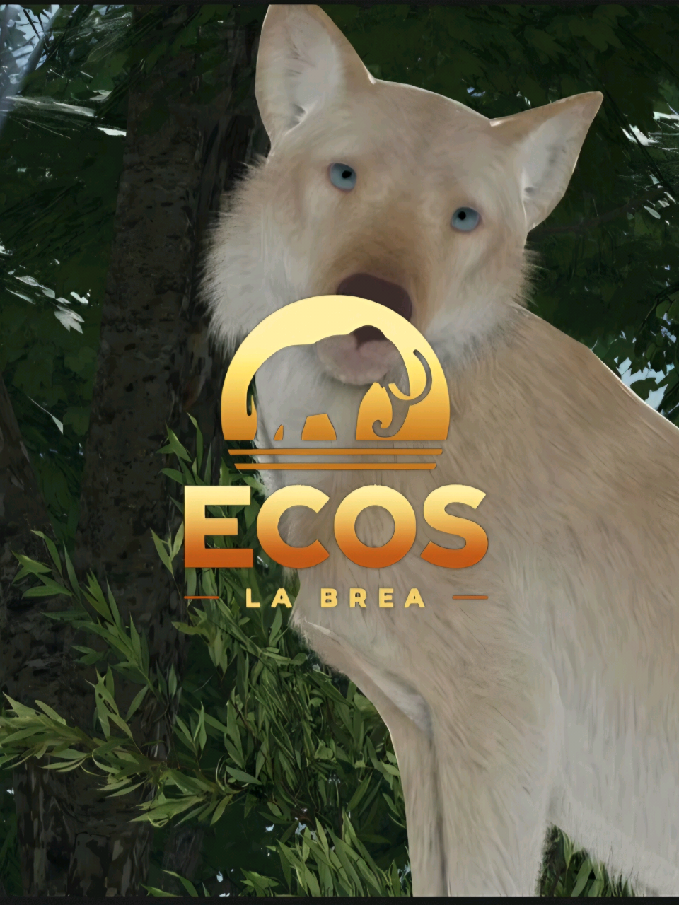 @ʟᴜᴅᴡɪɢ