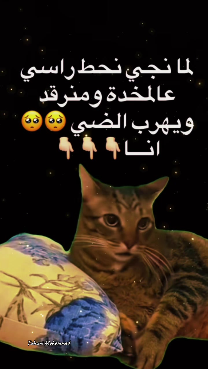 @Tahani Mohammed