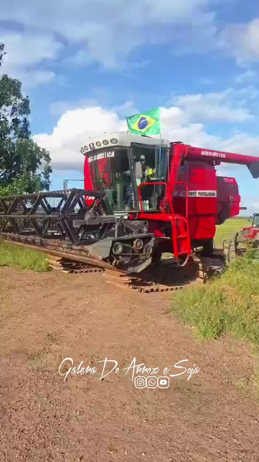 @_ciro_alberto