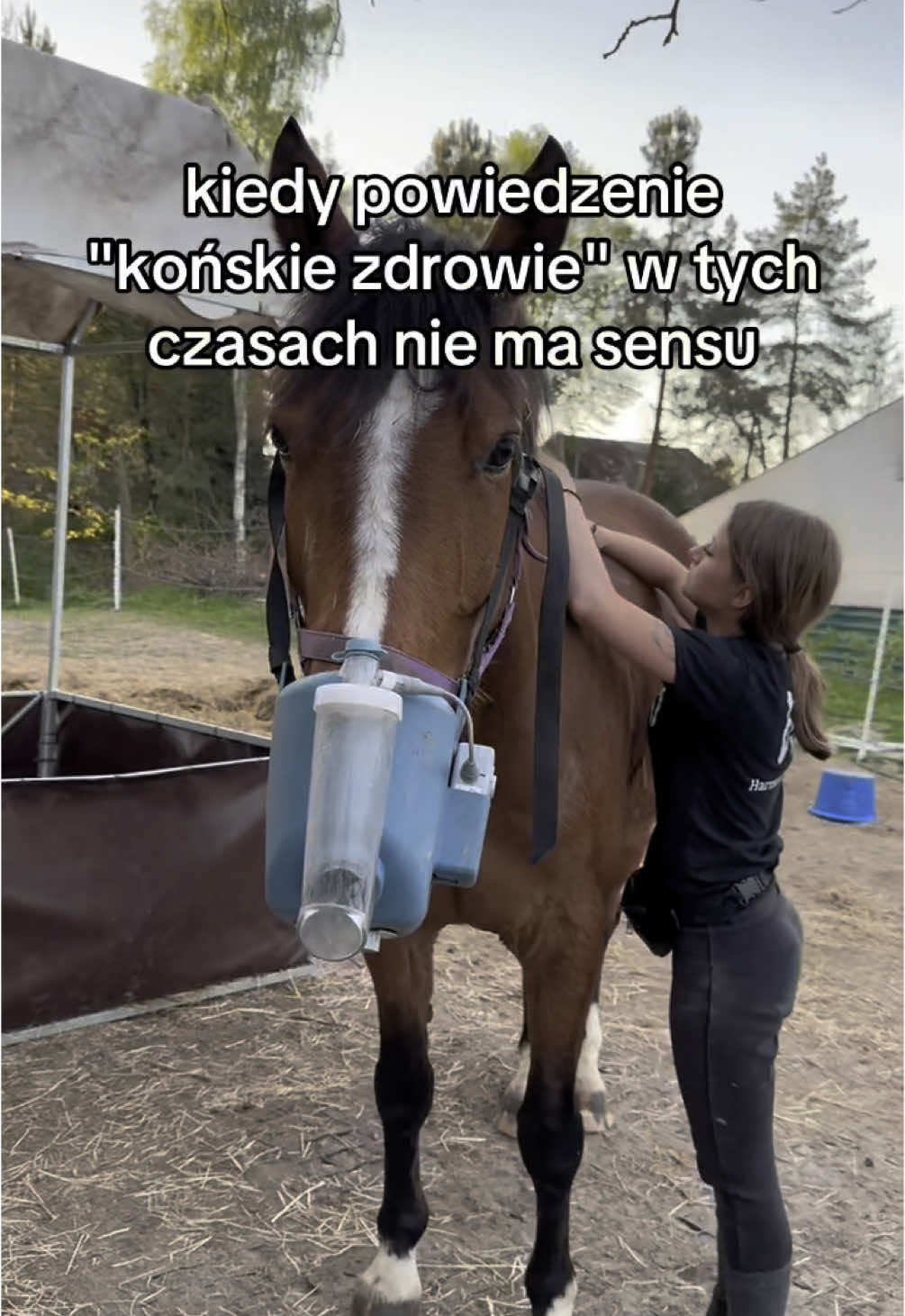 @Harmonia Jeździectwa