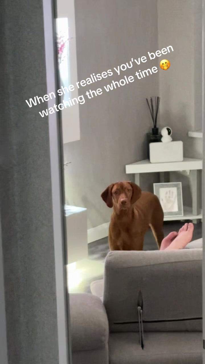 @LittleMissIndie