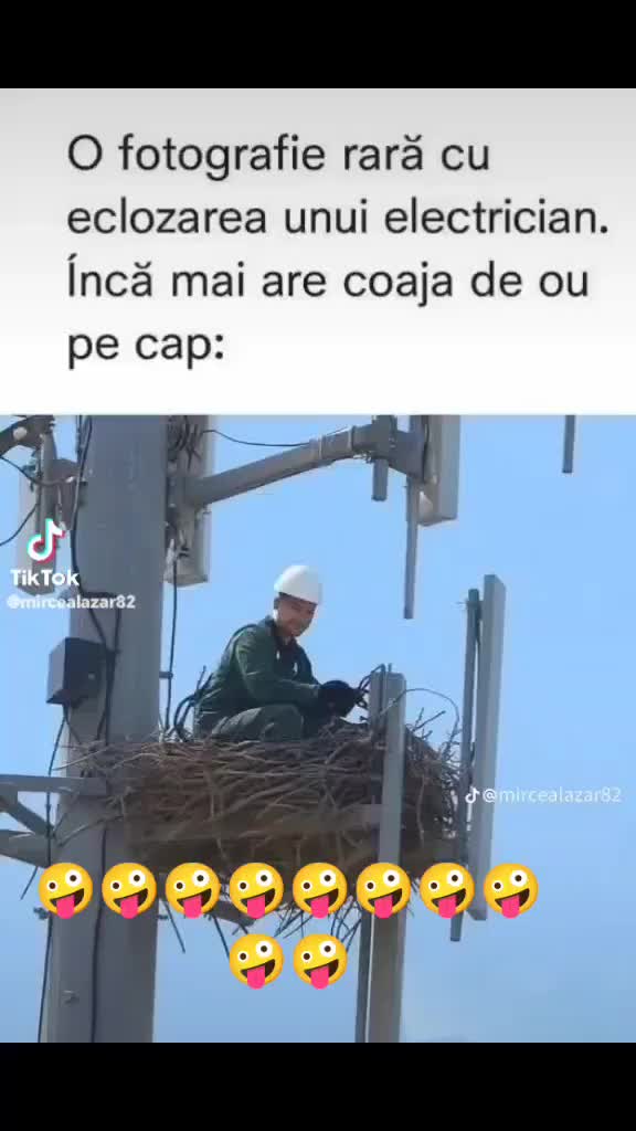 @Mihaela Ela