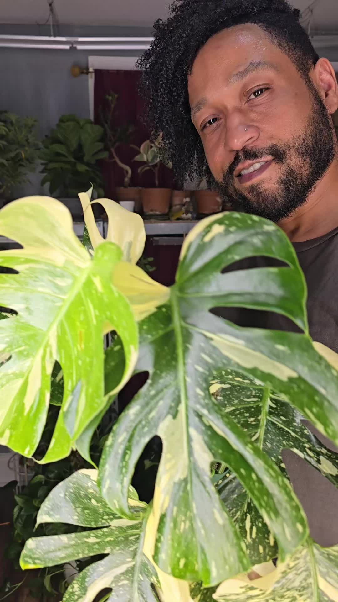 @JT - BigEGOPlants