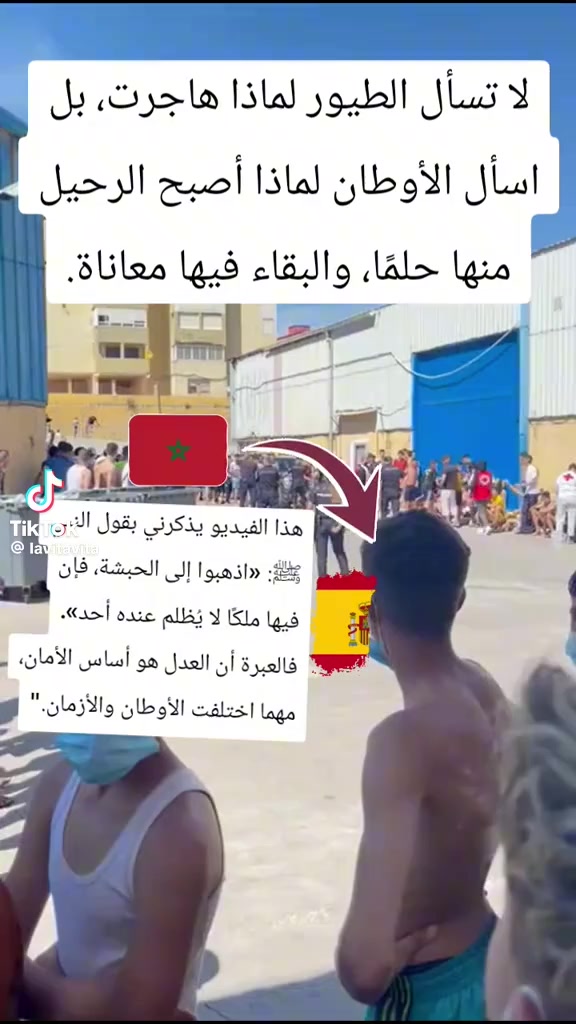 @Mahboul